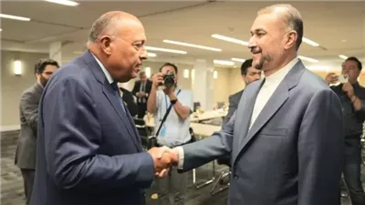 متحدث الخارجية عن مباحثات شكري وعبداللهيان: مصر وإيران لديهما ثقل كبير