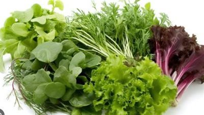 فوائد تناول الخضروات الورقية في فصل الخريف  