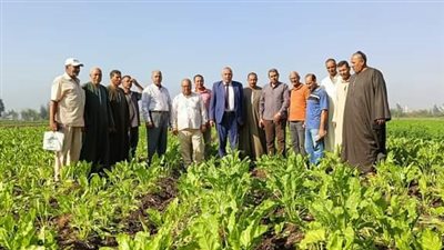 زراعة الغربية تنظم ندوه إرشادية عن محصول بنجر السكر