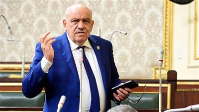 حنفي يطالب الحكومة بإعطاء أولوية لتصنيع المواد الخام محليًا بدلًا من استيرادها