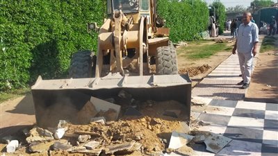 حملات موسعة لإزالة التعديات على الرقعة الزراعية بالجيزة 