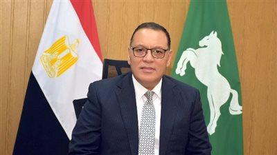 إزالة 1076 إعلان مخالف وغير مرخص بمراكز ومدن الشرقية