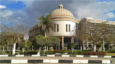 غدا.. المؤتمر الطلابي الأول بكلية الألسن فى الفيوم
