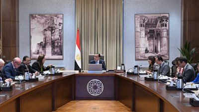 الحكومة: 4 شركات تبدأ تصنيع السيارات فى مصر خلال أيام