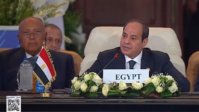 استاذ علوم سياسية: وجهة نظر مصر تتمثل في نزع جذور أزمة غزة 