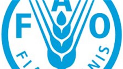 الزراعة تدعو إلى تحويل النظم الغذائية الحضرية في منطقة الشرق الأدنى وشمال أفريقيا