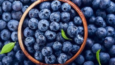 التوت الأزرق مفيد لصحة الدماغ والعين.. 7 فوائد لا تعرفها عنه 