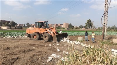 إحالة 26 متعديًا على الأراضي الزراعية للنيابة العامة