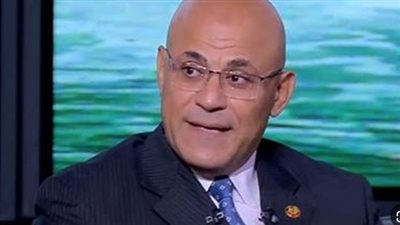 أستاذ اقتصاد: سرعة تسوية المنازعات القانونية تساهم في تفعيل المنظومة الاستثمارية