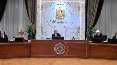  الحكومة توافق علي إنشاء منطقة حرة خاصة لشركة مصرية إيطالية