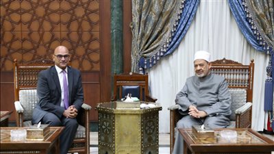 الإمام الأكبر يوصي سفراء مصر لدى أفريقيا بالاستفادة من الأزهر 