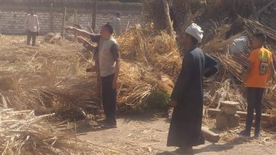   إزالة 5 حالات تعد على الأراضي الزراعية بقرية أولاد نجم بنجع حمادي