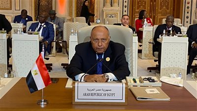 نص كلمة وزير الخارجية في القمة السعودية الأفريقية الأولى