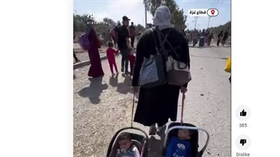 أم فلسطينية تجر أطفالها 5 ساعات من شمال غزة إلى جنوبها (شاهد)