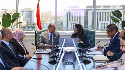 التعاون الدولي: 22 مليار دولار قيمة محفظة التمويل الإنمائي الميسر 