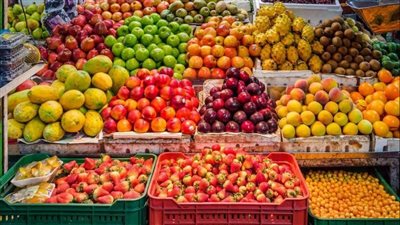 استقرار أسعار الفاكهة اليوم السبت في الأسواق المصرية.. والبرتقال بـ 12 جنيهًا