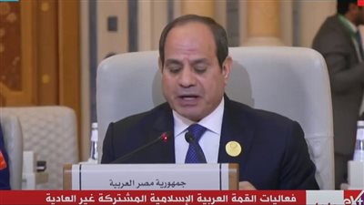 السيسي: الشعب الفلسطيني يتعرض للقتل والحصار ويعاني ممارسات لا إنسانية (شاهد) 
