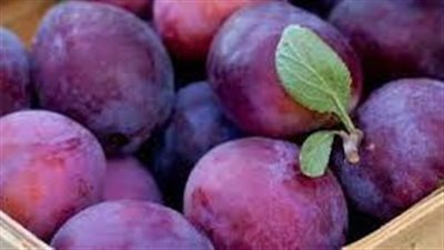 فوائد فاكهة البرقوق وأضرارها