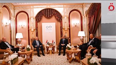 شاهد.. الرئيس السيسي يستعرض الجهود المصرية لوقف إطلاق النار في غزة