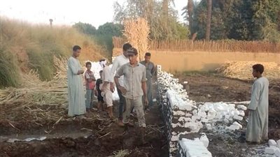 حملة إزالات بقرية أولاد عمرو بقنا