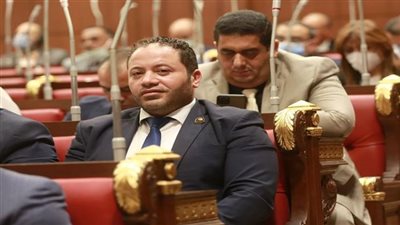 مصطفى سالمان: مشروع قرار القمة العربية الإسلامية تأكيد على الموقف العربي الموحد لدعم القضية الفلسطينية