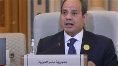 المصريون بالنمسا يدعمون الرئيس السيسي في كل قراراته التي تخص أمن مصر