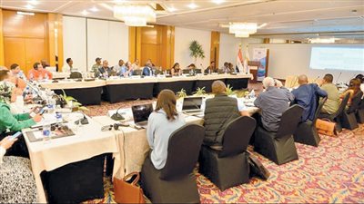 التنمية المستدامة.. تحسين جودة الخدمات وكفاءة الاتصالات فى النقل الجوى.. أولويات الأجندة الأفريقية والبرنامج الإقليمى الموحد