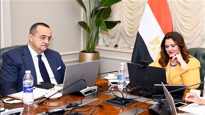 وزيرة الهجرة تلتقي عددًا من أبناء الجاليات المصرية بالولايات المتحدة الأمريكية وكندا