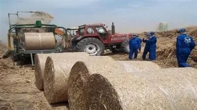 منظومة الزراعة لجمع وتدوير قش الأرز.. إنجاز كبير يحقق أهدافًا اقتصادية واجتماعية وبيئية