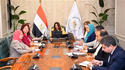  قراءة بيانات المصريين بالخارج المشاركين في الانتخابات المقبلة عبر أجهزة هواتف لوحية