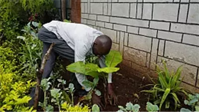 الحكومة الكينية تعلن عطلة رسمية لزراعة الأشجار