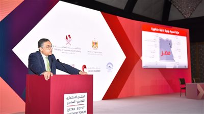 رئيس هيئة الاستثمار: الاقتصاد المصري شهد تأسيس 32447 شركة في 2022/2023