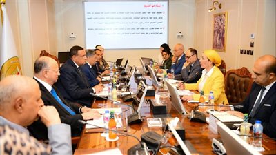 محافظ القاهرة : الدولة المصرية تبذل جهدًا كبيرًا للتعامل مع التغيرات المناخية
