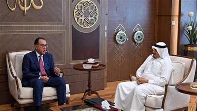  رئيس الوزراء يلتقي رئيس مجموعة 