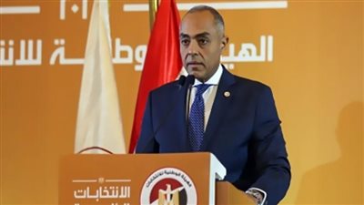 المصريون بالخارج يطالبون بالتصويت عبر البريد أو إلكترونيا.. ومسؤول: محل دراسة مستقبلا
