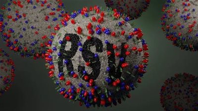 عوض تاج الدين يكشف الفئات الأكثر عرضة للإصابة بالفيروس المخلوي