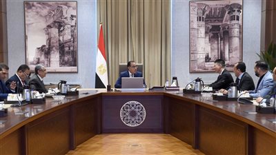 رئيس الوزراء يلتقي رئيس شركة 