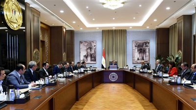 رئيس الوزراء: تنفيذ مشروعات كبيرة تسهم في تحويل مصر لمركز لوجيستي عالمي
