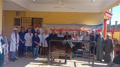 حياة كريمة .. علاج وفحص أكثر من ٣٢٠٠ رأس ماشية مجانًا في قنا  