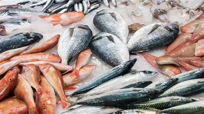 أسعار الأسماك اليوم الخميس بسوق العبور للجملة