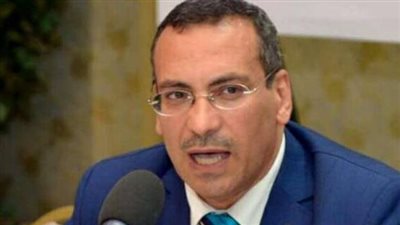 علاء سليم: المشاركة في انتخابات الرئاسة رسالة للعالم أن أبناء مصر عازمين لنصرة وطنهم