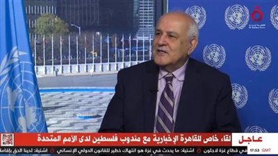 مندوب فلسطين بالأمم المتحدة: 