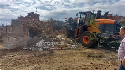 إزالة 60 حالة تعدى على الأرض الزراعية بالمحلة الكبرى 