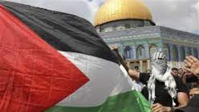 خبير: موقف مصر اليوم من القضية الفلسطينية أقوى من أي دولة