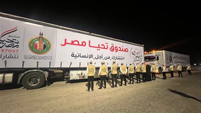 أكبر قافلة مساعدات من بيت الزكاة والصدقات المصري تصل معبر رفح