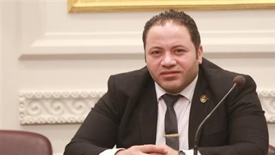 برلماني: قافلة مساعدات صندوق تحيا مصر تأكيدًا على دعم مصر لحقوق الإنسان