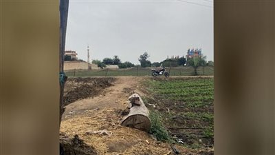 قري بنها تغرق في مياه الأمطار