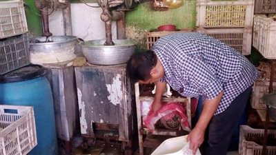 صحة الشرقية: ضبط 1744 منشأة غذائية بها نقص شديد في الاشتراطات الصحية 