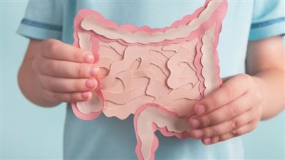 دراسة تكشف قواعد بسيطة لوظيفة الأمعاء الجيدة