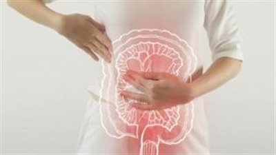 أطعمة تفيد حركة الأمعاء بانتظام 